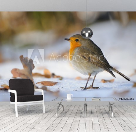 Picture of Wintering Robin walking in the snow